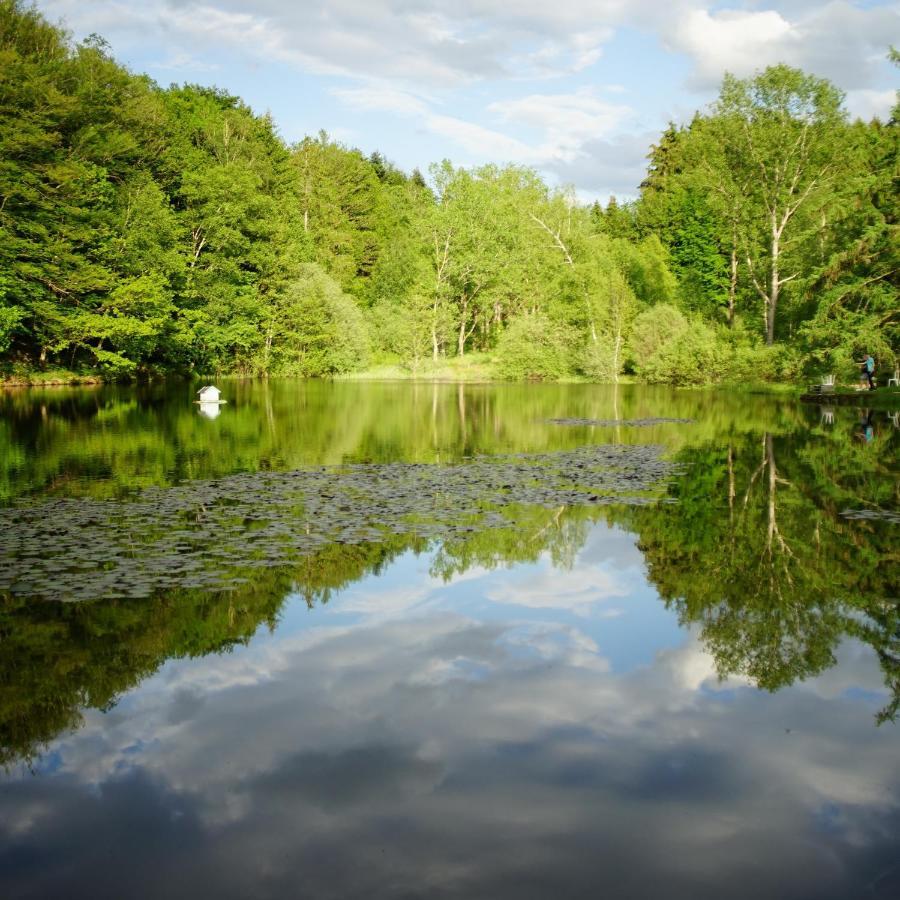 Le Crusoe A L'Etang D'Anty - Appartement Saint-Nabord ภายนอก รูปภาพ