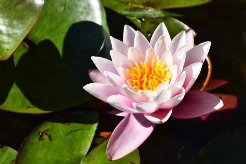 Le Crusoe A L'Etang D'Anty - Appartement Saint-Nabord ภายนอก รูปภาพ