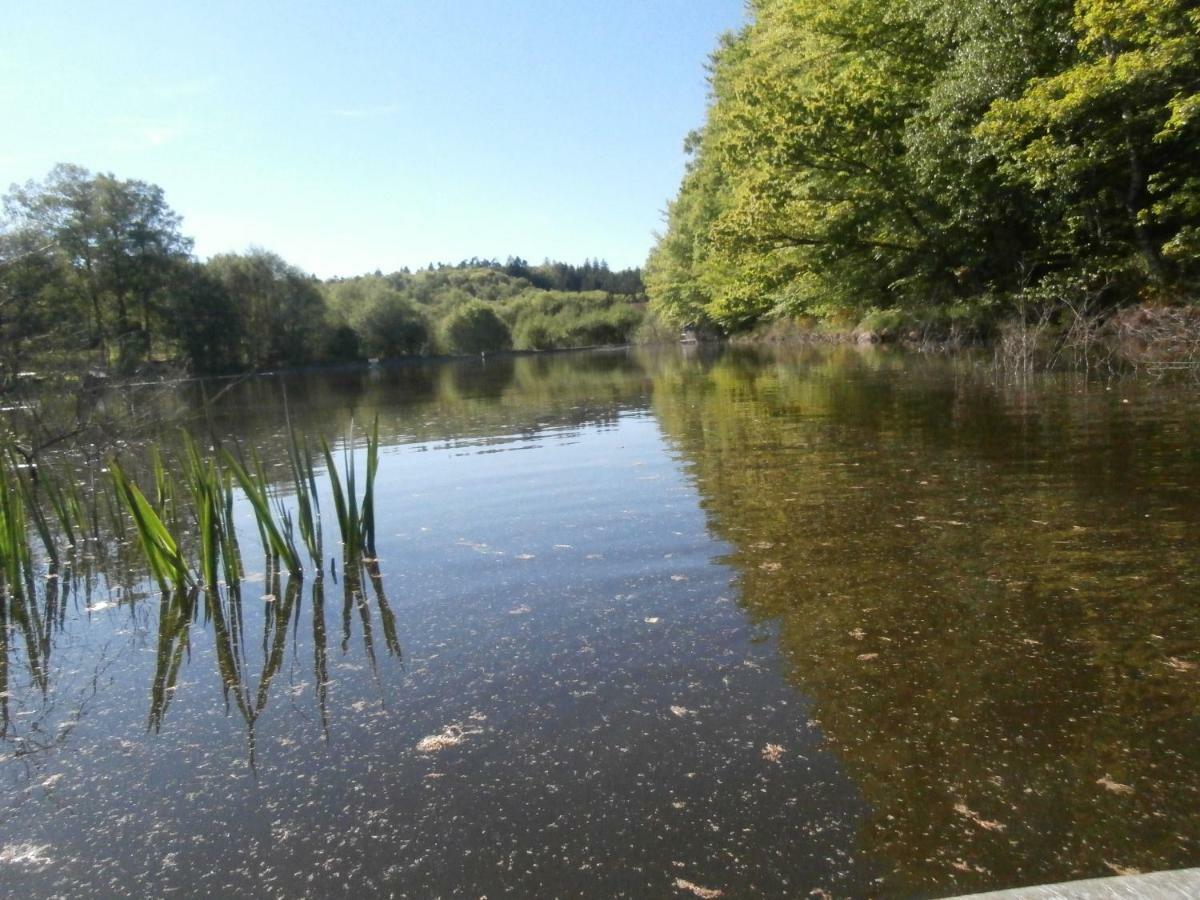 Le Crusoe A L'Etang D'Anty - Appartement Saint-Nabord ภายนอก รูปภาพ